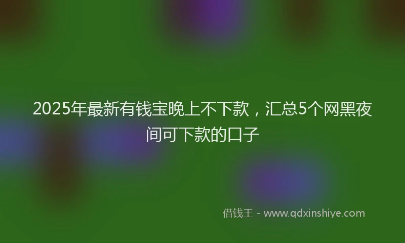 2025年最新有钱宝晚上不下款，汇总5个网黑夜间可下款的口子