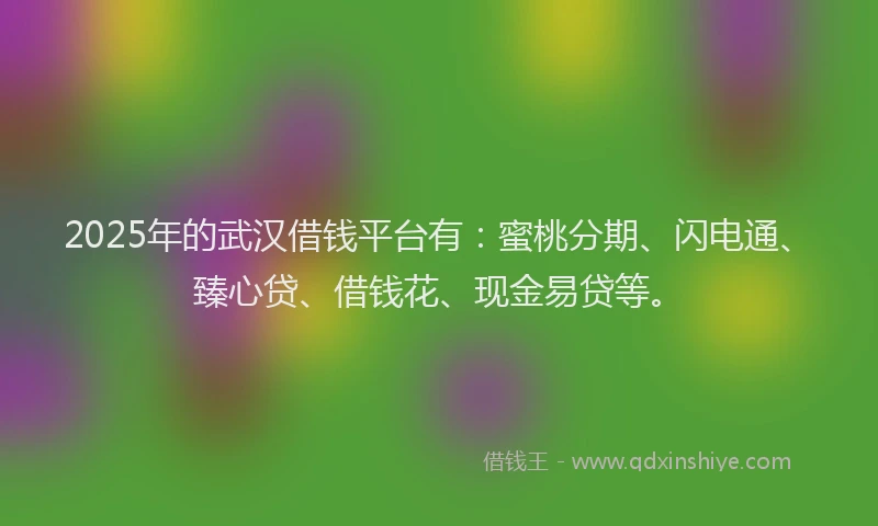2025年的武汉借钱平台有：蜜桃分期、闪电通、臻心贷、借钱花、现金易贷等。