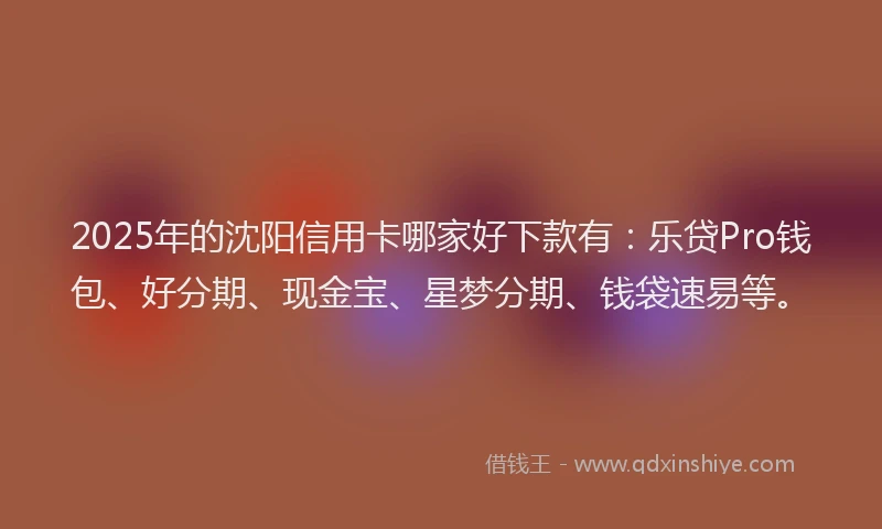 2025年的沈阳信用卡哪家好下款有：乐贷Pro钱包、好分期、现金宝、星梦分期、钱袋速易等。