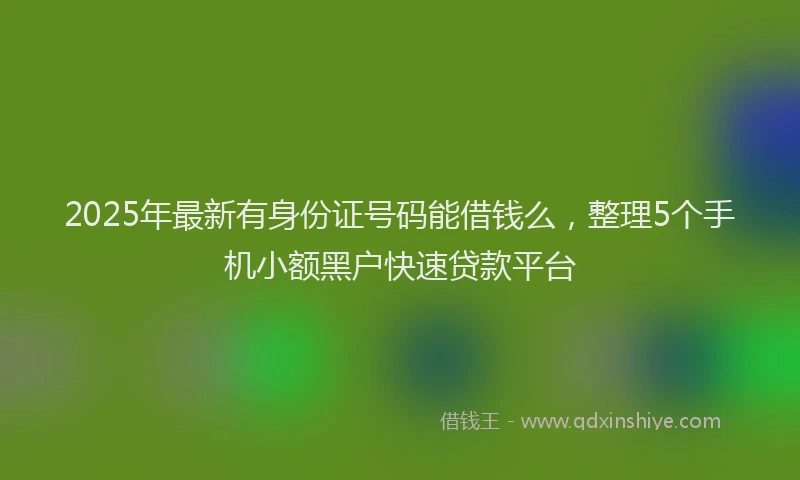 2025年最新有身份证号码能借钱么，整理5个手机小额黑户快速贷款平台