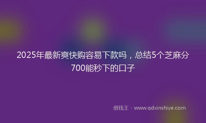 2025年最新爽快购容易下款吗，总结5个芝麻分700能秒下的口子