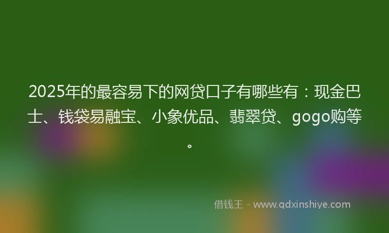 2025年的最容易下的网贷口子有哪些有：现金巴士、钱袋易融宝、小象优品、翡翠贷、gogo购等。