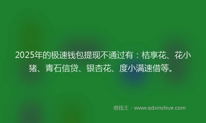 2025年的极速钱包提现不通过有：桔享花、花小猪、青石信贷、银杏花、度小满速借等。