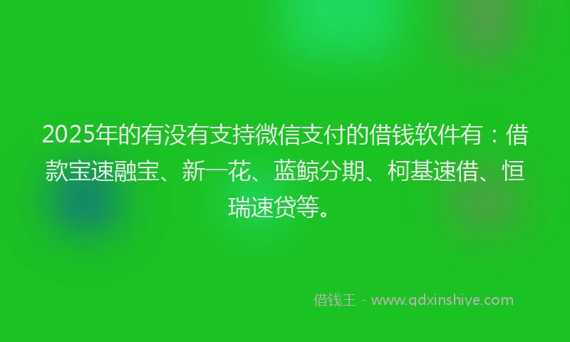 2025年的有没有支持微信支付的借钱软件有：借款宝速融宝、新一花、蓝鲸分期、柯基速借、恒瑞速贷等。