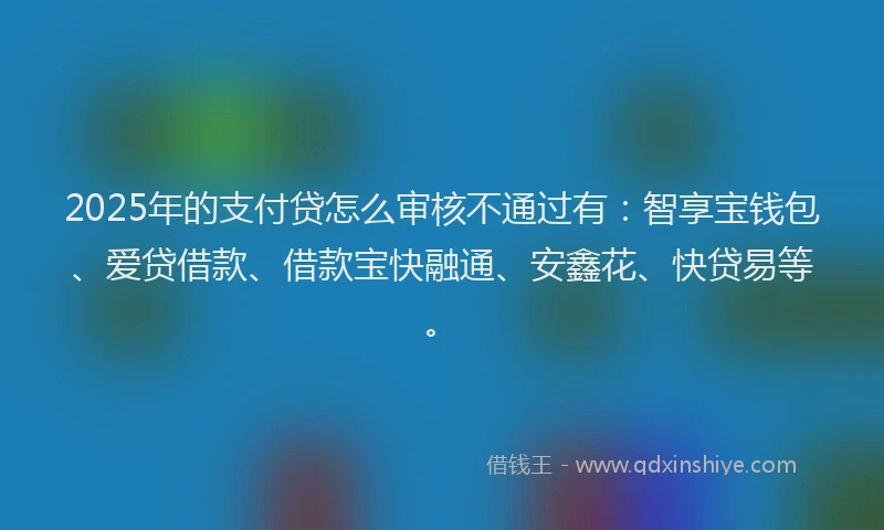 2025年的支付贷怎么审核不通过有：智享宝钱包、爱贷借款、借款宝快融通、安鑫花、快贷易等。