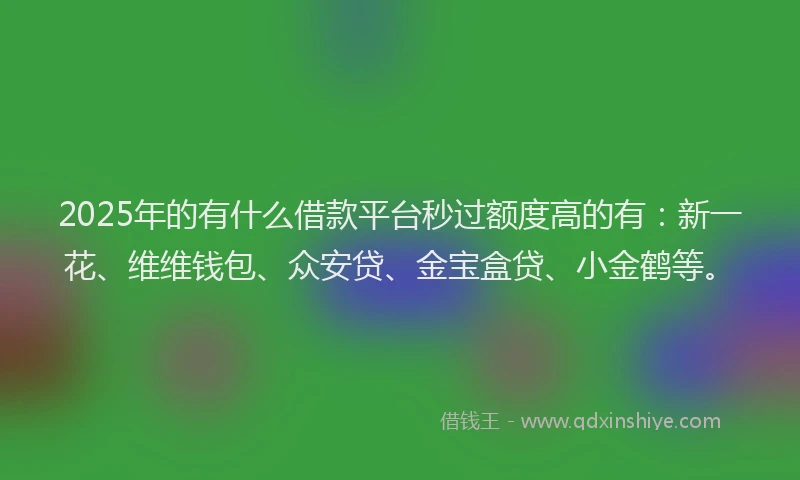 2025年的有什么借款平台秒过额度高的有：新一花、维维钱包、众安贷、金宝盒贷、小金鹤等。