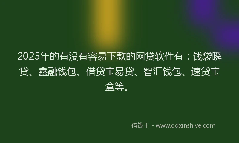 2025年的有没有容易下款的网贷软件有：钱袋瞬贷、鑫融钱包、借贷宝易贷、智汇钱包、速贷宝盒等。