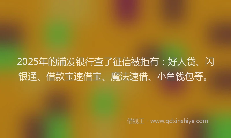 2025年的浦发银行查了征信被拒有：好人贷、闪银通、借款宝速借宝、魔法速借、小鱼钱包等。