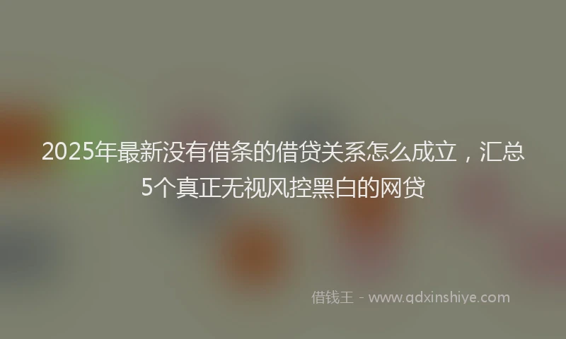 2025年最新没有借条的借贷关系怎么成立，汇总5个真正无视风控黑白的网贷