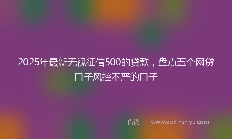 2025年最新无视征信500的贷款，盘点五个网贷口子风控不严的口子