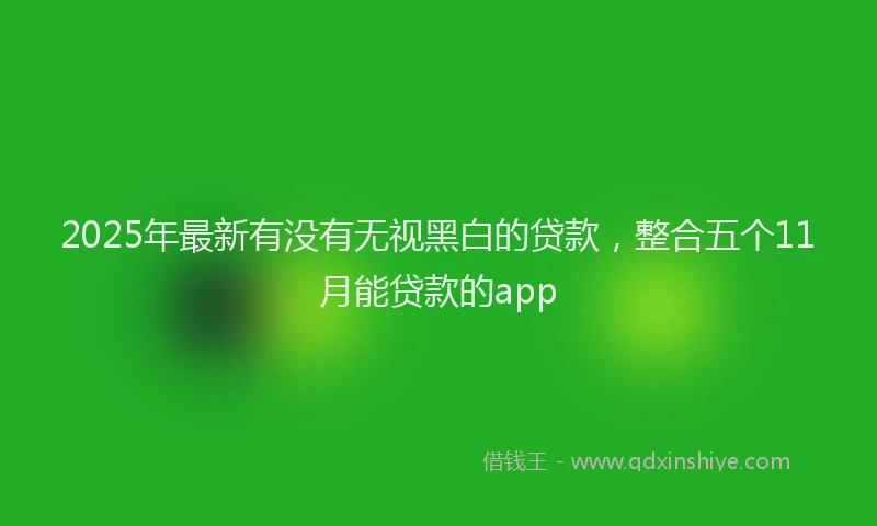 2025年最新有没有无视黑白的贷款，整合五个11月能贷款的app