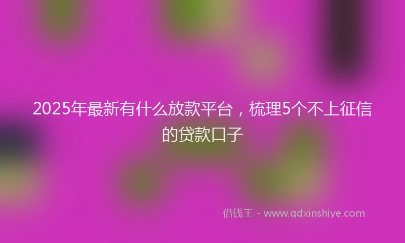 2025年最新有什么放款平台，梳理5个不上征信的贷款口子