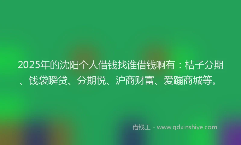 2025年的沈阳个人借钱找谁借钱啊有:桔子分期、钱袋瞬贷、分期悦、沪商财富、爱蹦商城等。