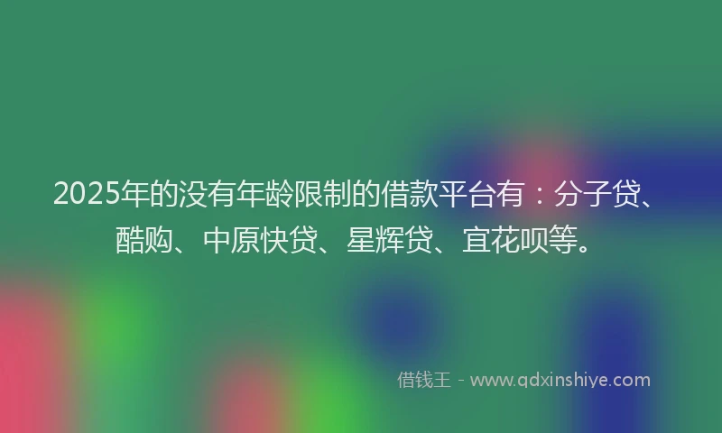 2025年的没有年龄限制的借款平台有：分子贷、酷购、中原快贷、星辉贷、宜花呗等。