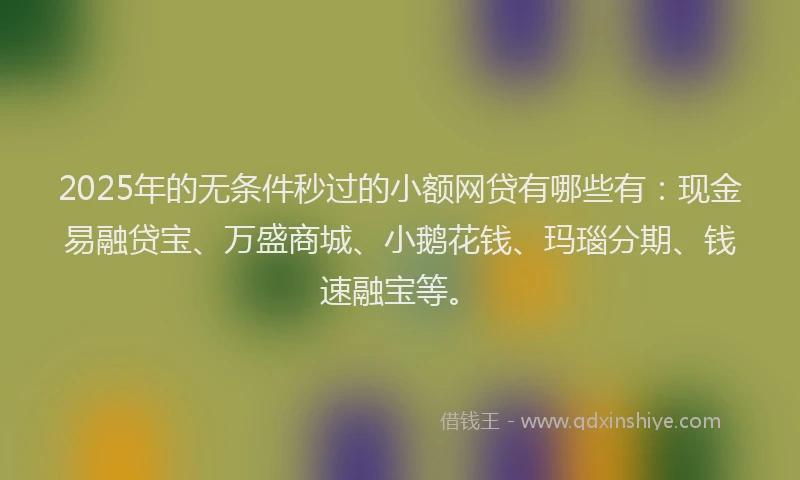 2025年的无条件秒过的小额网贷有哪些有：现金易融贷宝、万盛商城、小鹅花钱、玛瑙分期、钱速融宝等。