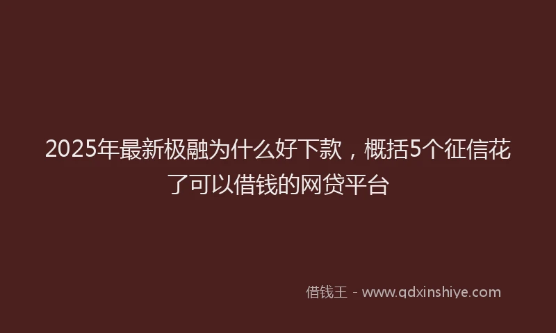 2025年最新极融为什么好下款，概括5个征信花了可以借钱的网贷平台