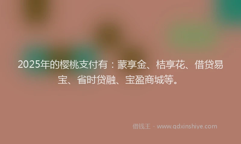 2025年的樱桃支付有：蒙享金、桔享花、借贷易宝、省时贷融、宝盈商城等。