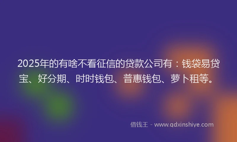 2025年的有啥不看征信的贷款公司有：钱袋易贷宝、好分期、时时钱包、普惠钱包、萝卜租等。