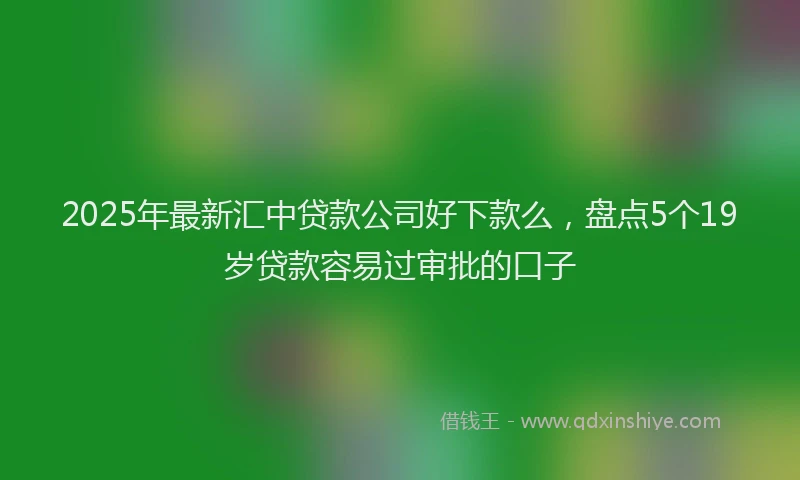 2025年最新汇中贷款公司好下款么，盘点5个19岁贷款容易过审批的口子