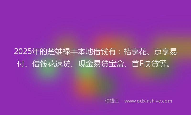 2025年的楚雄禄丰本地借钱有：桔享花、京享易付、借钱花速贷、现金易贷宝盒、首E快贷等。