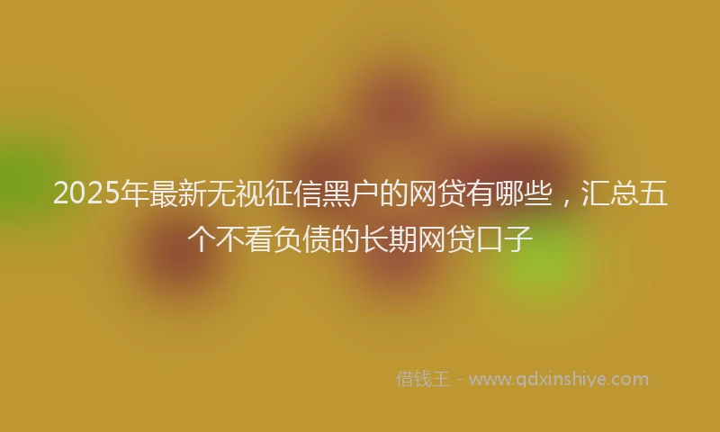 2025年最新无视征信黑户的网贷有哪些，汇总五个不看负债的长期网贷口子