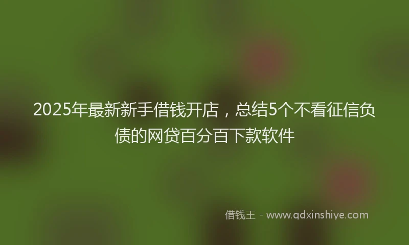 2025年最新新手借钱开店，总结5个不看征信负债的网贷百分百下款软件