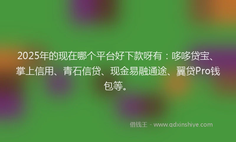 2025年的现在哪个平台好下款呀有：哆哆贷宝、掌上信用、青石信贷、现金易融通途、翼贷Pro钱包等。