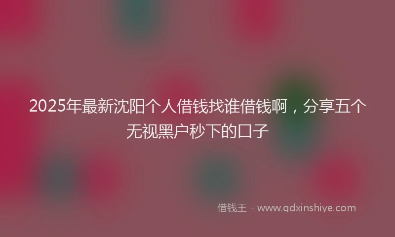 2025年最新沈阳个人借钱找谁借钱啊，分享五个无视黑户秒下的口子