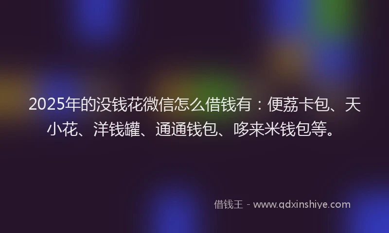 2025年的没钱花微信怎么借钱有：便荔卡包、天小花、洋钱罐、通通钱包、哆来米钱包等。
