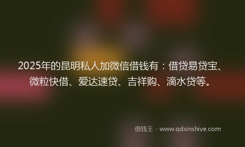 2025年的昆明私人加微信借钱有：借贷易贷宝、微粒快借、爱达速贷、吉祥购、滴水贷等。