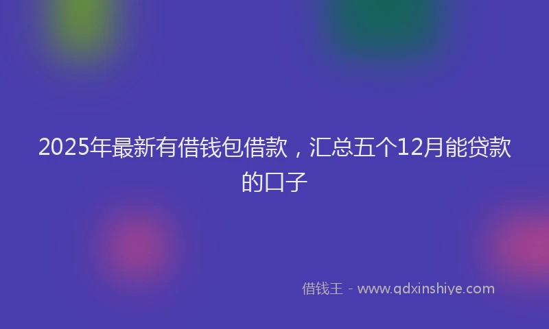 2025年最新有借钱包借款，汇总五个12月能贷款的口子