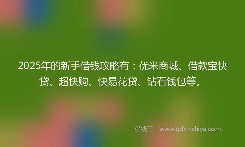 2025年的新手借钱攻略有：优米商城、借款宝快贷、超快购、快易花贷、钻石钱包等。