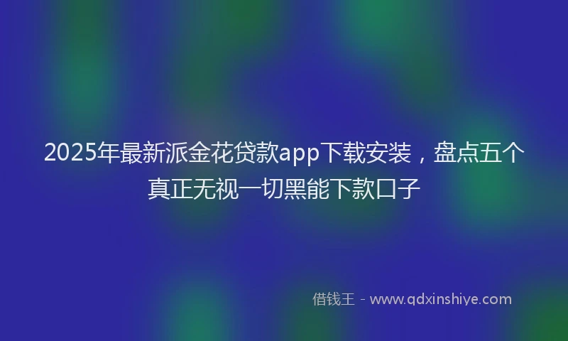 2025年最新派金花贷款app下载安装，盘点五个真正无视一切黑能下款口子