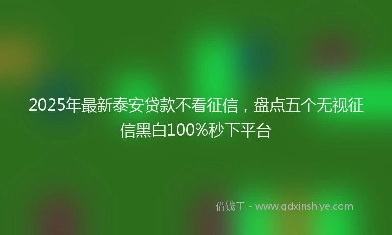 2025年最新泰安贷款不看征信，盘点五个无视征信黑白100%秒下平台