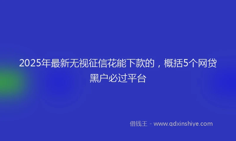 2025年最新无视征信花能下款的，概括5个网贷黑户必过平台