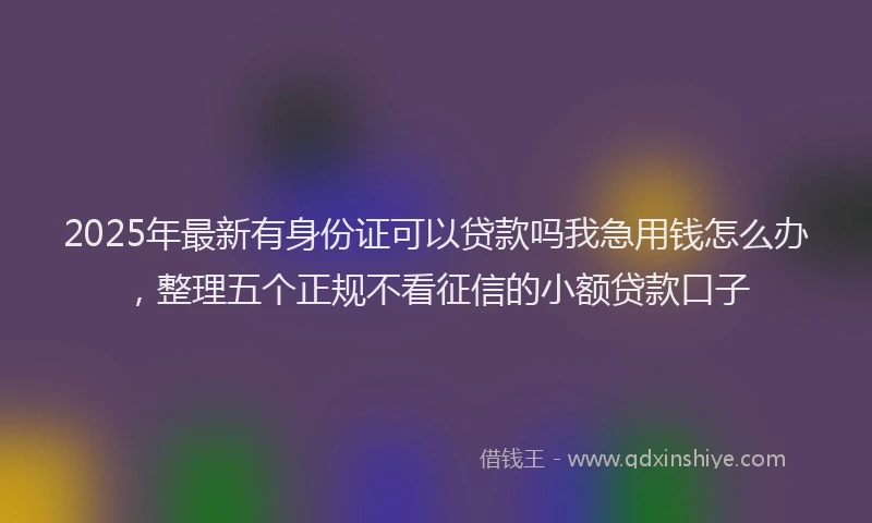 2025年最新有身份证可以贷款吗我急用钱怎么办，整理五个正规不看征信的小额贷款口子