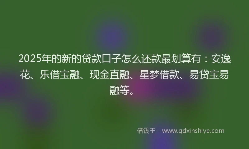 2025年的新的贷款口子怎么还款最划算有：安逸花、乐借宝融、现金直融、星梦借款、易贷宝易融等。