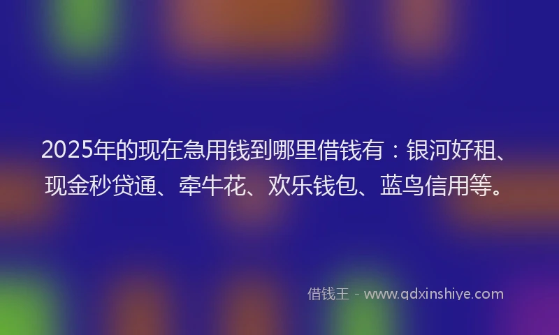 2025年的现在急用钱到哪里借钱有：银河好租、现金秒贷通、牵牛花、欢乐钱包、蓝鸟信用等。
