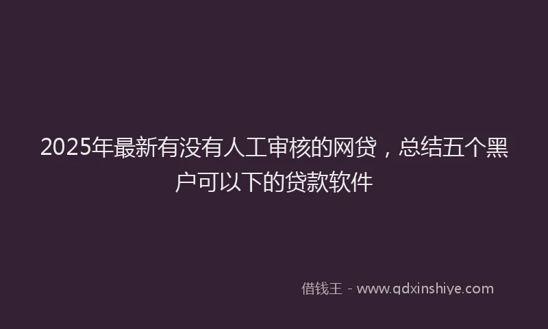 2025年最新有没有人工审核的网贷，总结五个黑户可以下的贷款软件