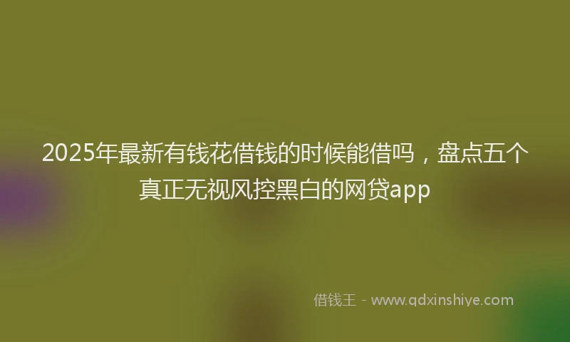 2025年最新有钱花借钱的时候能借吗，盘点五个真正无视风控黑白的网贷app