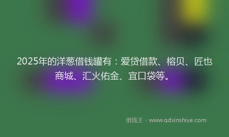 2025年的洋葱借钱罐有：爱贷借款、榕贝、匠也商城、汇火佑金、宜口袋等。
