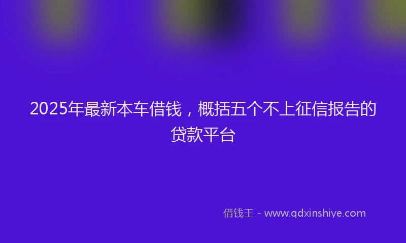 2025年最新本车借钱，概括五个不上征信报告的贷款平台