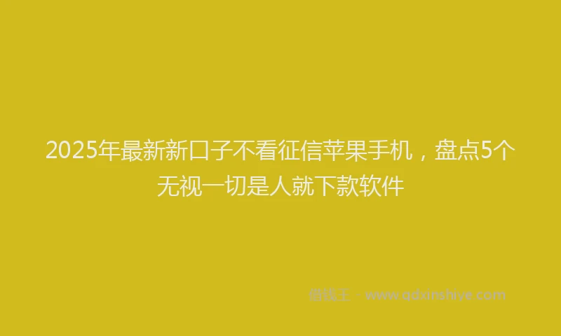 2025年最新新口子不看征信苹果手机，盘点5个无视一切是人就下款软件