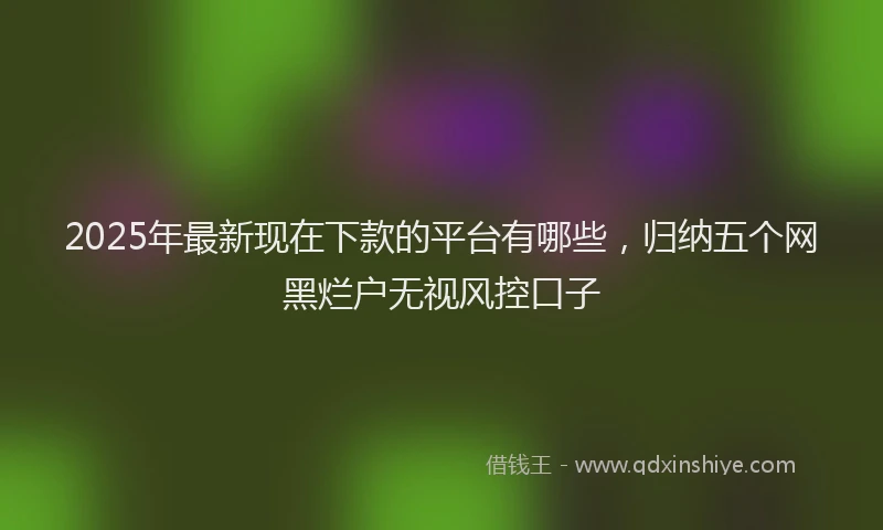 2025年最新现在下款的平台有哪些，归纳五个网黑烂户无视风控口子