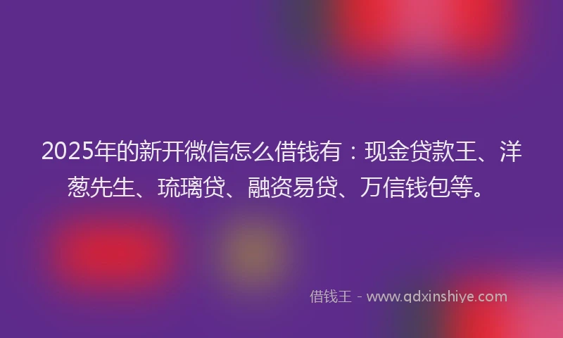 2025年的新开微信怎么借钱有：现金贷款王、洋葱先生、琉璃贷、融资易贷、万信钱包等。