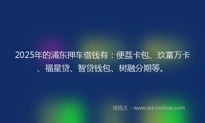 2025年的浦东押车借钱有：便荔卡包、玖富万卡、福星贷、智贷钱包、树融分期等。