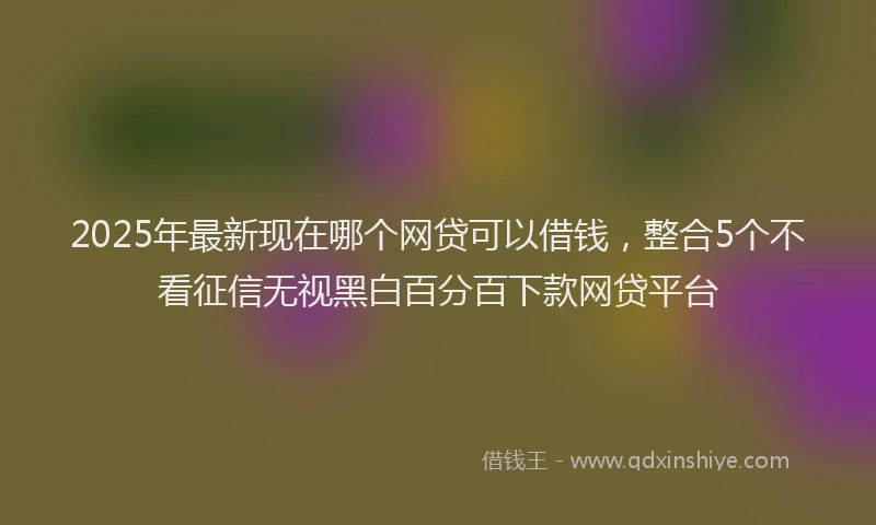 2025年最新现在哪个网贷可以借钱，整合5个不看征信无视黑白百分百下款网贷平台