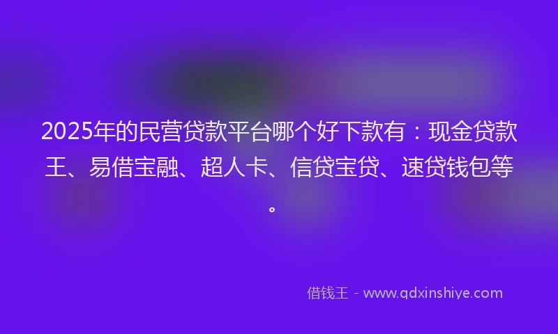 2025年的民营贷款平台哪个好下款有：现金贷款王、易借宝融、超人卡、信贷宝贷、速贷钱包等。