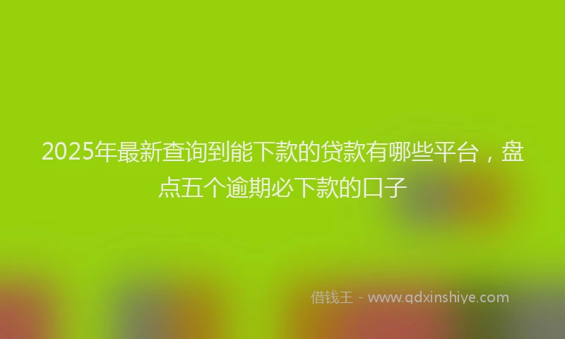2025年最新查询到能下款的贷款有哪些平台，盘点五个逾期必下款的口子