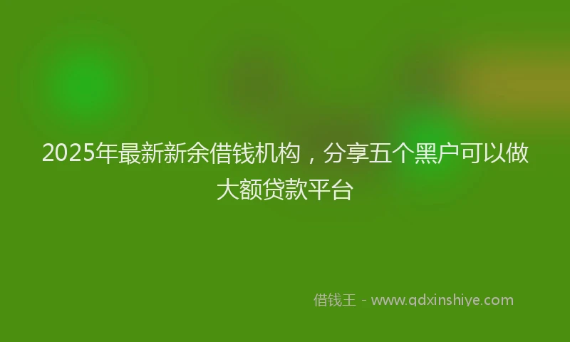 2025年最新新余借钱机构，分享五个黑户可以做大额贷款平台